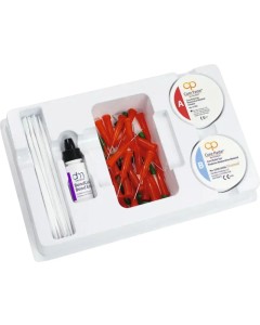 Core Paste Enamel Dosen 2x25g SC