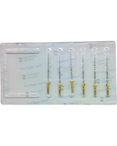 PROTAPER NEXT Feile X5 31mm Pa 6