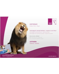 KKD Kofferdam Leitfaden St