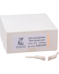 Schnappzahn Modell Schneidezahn 21