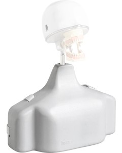 Schulter-Torso P-6 TSE St