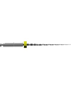 FKG BioRaCe BR1 NiTi Feilen 5%