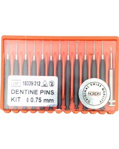Titanium Dentine Stifte schwarz