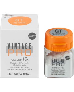 Vintage Pro Enamel Effect GT