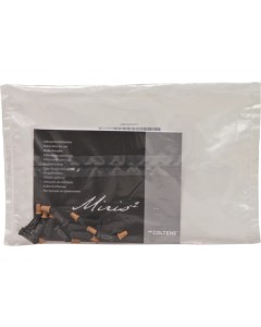 Miris Dentin S3 Tips 10x0,25g