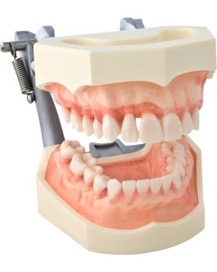 Demo Modell P15-162H1 St