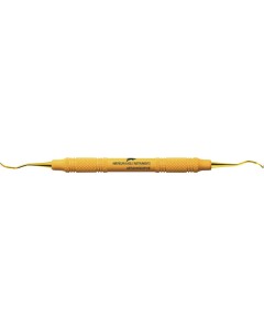 AE XP SQUARED Scaler 204 SD
