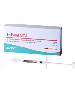 BisiSEAL MTA Spritze 2g