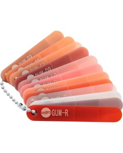 CERAMAGE Gum Color Indicator Set