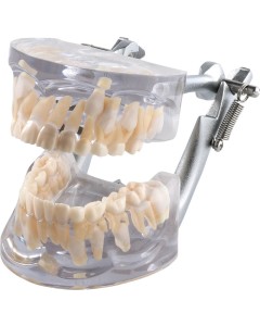 Demo Modell P12D-100A St