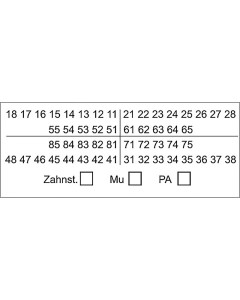 Zahnschema Befund 01 PAR 50x22mm