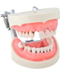 Demo Modell P15D-JME24 St