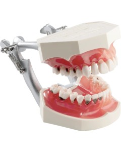 Demo Modell P2D-001 St