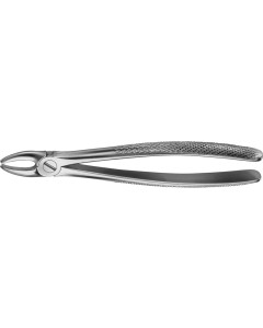 ANATOMICA Zahnzange Fig.2 DG005R St