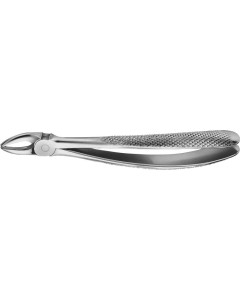 ANATOMICA Zahnzange Fig.7 DG107R St
