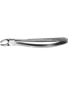ANATOMICA Zahnzange Fig.17