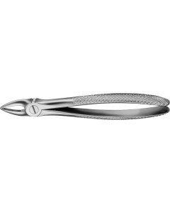 ANATOMICA Zahnzange Fig.29