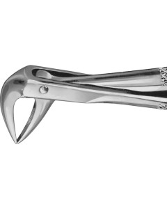 ANATOMICA Zahnzange Fig.74