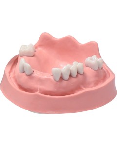 Simulatormodell OK TZ 10N St
