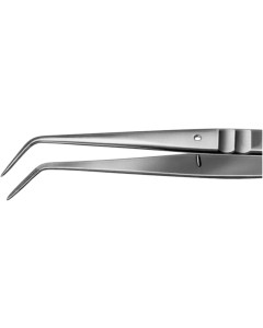Pinzette College 150mm Spitze