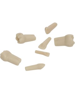 Kindermodellzahn AK-6 Nr.83 St